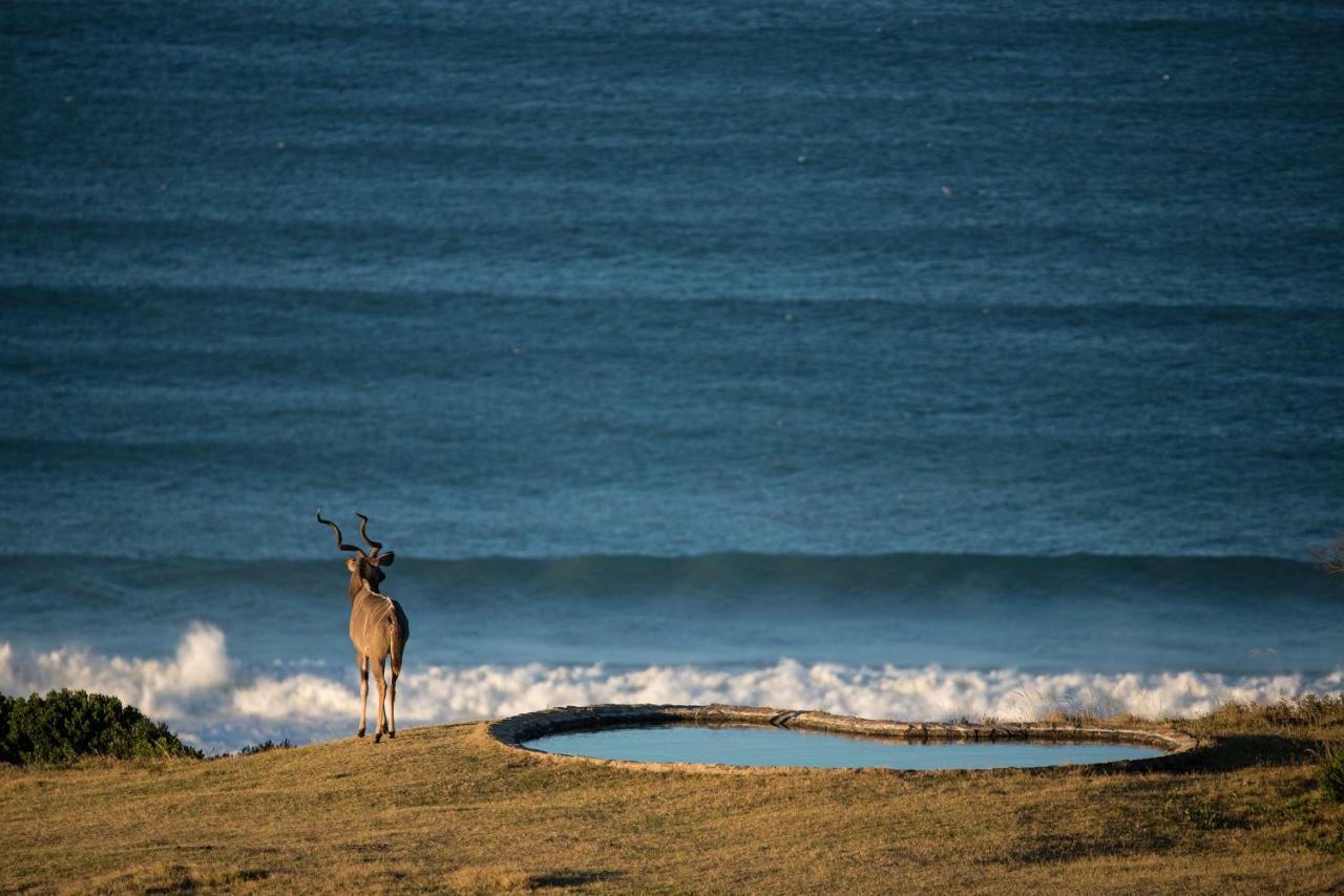 Oceana Beach And Wildlife Reserve Port Alfred Exterior foto